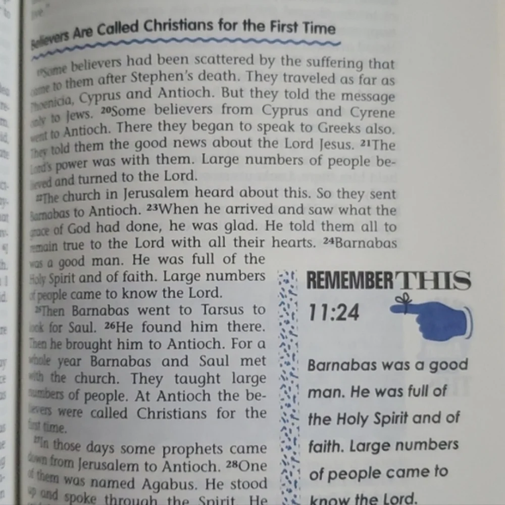 ZONDERVAN Young Readers NIV New Testament Study Bible 1995